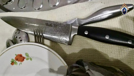 В Кирове пьяный мужчина ударил ножом сожительницу