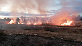В Котельничском районе горела свалка лесоперерабатывающего предприятия