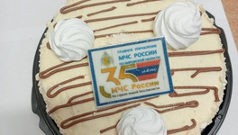 В магазинах Кирова появились торты к 35-летию МЧС