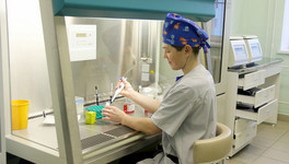 В Кировской области благодаря ЭКО в 2025 году родились 297 детей