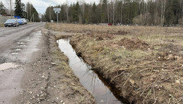 Александр Соколов отреагировал на подтопление Макарьевского кладбища