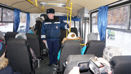 В кировском общественном транспорте появились «тайные пассажиры»
