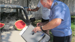 В Кировской области проконтролировали законность торговли арбузами (ФОТО)