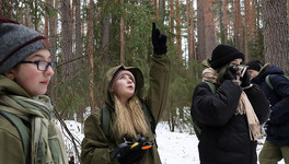 В районах Кировской области создадут школьные лесничества