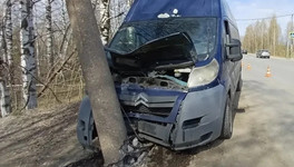 В Кирове 67-летний водитель врезался в столб и погиб