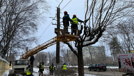 В Кирове на восьми улицах обрезали деревья