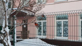 В Кировской области ежегодно находят новые виды птиц