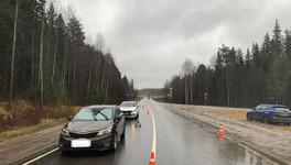 На Южном обходе Кирова автомобилист насмерть сбил пешехода