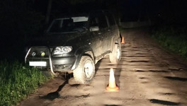 В Кирово-Чепецком районе пьяный водитель сбил насмерть 18-летнего парня