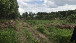 В Дендропарке появится питомник редких растений