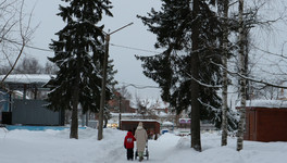 Многодетным семьям разрешили не отдавать за долги участки и машины
