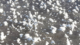 Жители Белой Холуницы сфотографировали «ледяные цветы»