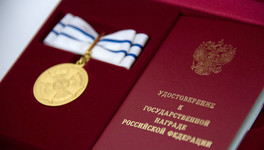 Кировскую семью с 10-ю детьми наградили медалью ордена «Родительская слава»