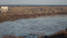На озере Широковском росгвардейцы поймали браконьера
