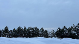 Кировские синоптики объяснили, почему зима 2025-2026 оказалась аномально снежной