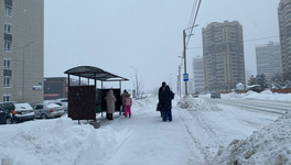 Кировскую область ждет испытание: арктический холод с морозами до -30 С