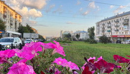День семьи, любви и верности: программа мероприятий в Кирове