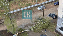 В Кирове из-за грозы падают деревья, окна и заборы. Фото