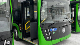 В Киров привезли новые автобусы