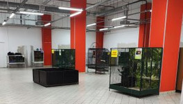 В кировском ТРЦ оштрафовали зоопарк без лицензии и с грубыми нарушениями