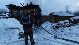 При пожаре в Зуевке погибли мать и её сын