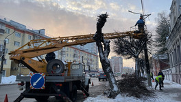 В Кирове обрезали деревья на Ленина, Октябрьском проспекте и Красноармейской