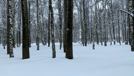 Сильные снегопады ждут Кировскую область в ближайшие дни