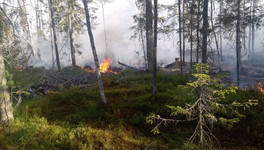 В Кировской области объявили о чрезвычайной пожарной опасности