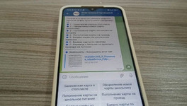 Кировчане могут жаловаться в ЦДС через Telegram