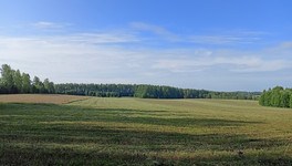 Предприятие в Кирово-Чепецком районе предупредили из-за неправильного оповещения