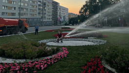 В Кирове ежедневно поливают гидровазоны, клумбы и контейнеры с растениями