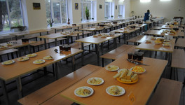 В Кировской области нашли более 200 нарушений при организации питания детей в школах