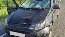 В Зуевском районе водитель сбил 15-летнего велосипедиста