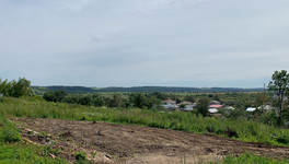 Охотники Кировской области добыли более 170 волков с начала года