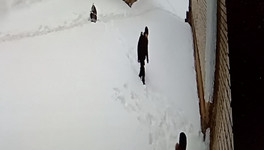 В Кирове замдиректора школы получил наказание за халатность, из-за которой пострадал ученик