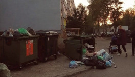Регоператор сообщил о случаях «мусорного вандализма» в Кирове