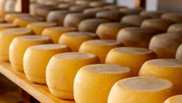 Гастроэнтеролог назвал сыр продуктом, полезным для сердца