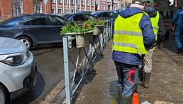 В Кирове озеленяют перекрёстки