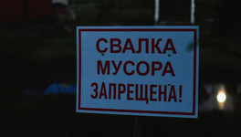 Вместо благоустройства территорий в Кирове 400 тысяч рублей потратят на ликвидацию незаконных свалок