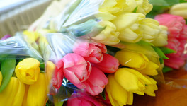 Александр Соколов поздравил жительниц Кировской области с 8 Марта