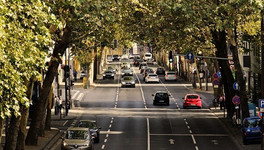 Скорость движения автомобилей в городах могут снизить до 30 километров в час