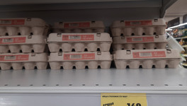 Российские власти рассказали, когда стабилизируются цены на яйца