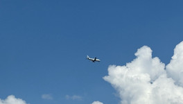 В Госдуме предложили ограничить наценки на авиабилеты в праздничные периоды