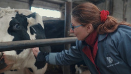 Оператор машинного доения: «От моей работы зависит качество молока и здоровье животного»
