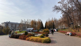 В Кирове средняя стоимость бизнес-ланча составила около 530 рублей