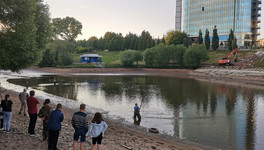 «Будем искать им дом»: кировские активисты рассказали о судьбе обитателей нижнего пруда