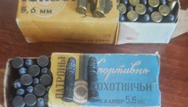 Житель Малмыжа осужден за хранение боеприпасов, найденных в лесу 18 лет назад