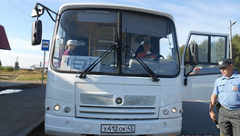 В Омутнинске в дверях автобуса зажало голову 6-летней девочки