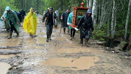 «Дважды думала из него выйти»: Алла Албегова рассказала о своём участии в Великорецком крестном ходе