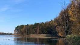 В апреле в Кировской области стартует охота на птиц